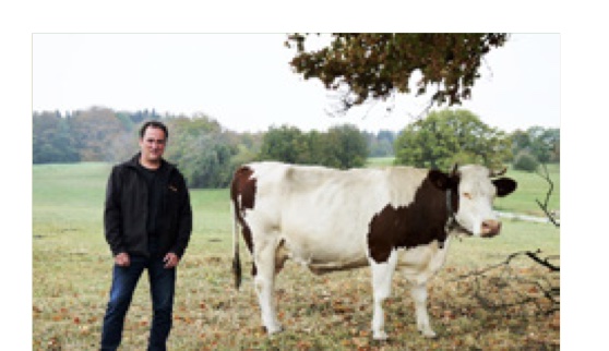Mr Barbier with a Montbéliarde cow, AOP Comté dairy farm, France