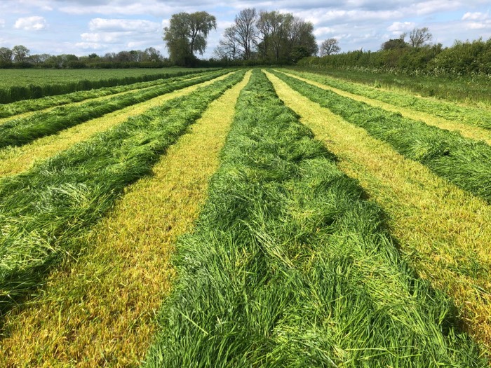AgrAssure regenerative farming photo 6