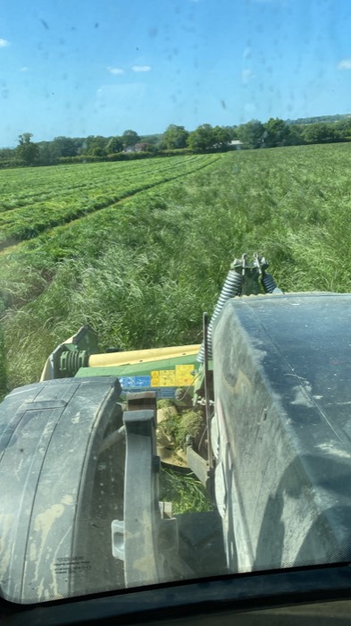 AgrAssure regenerative farming photo 7