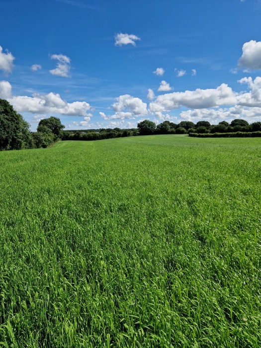 AgrAssure regenerative farming photo 8