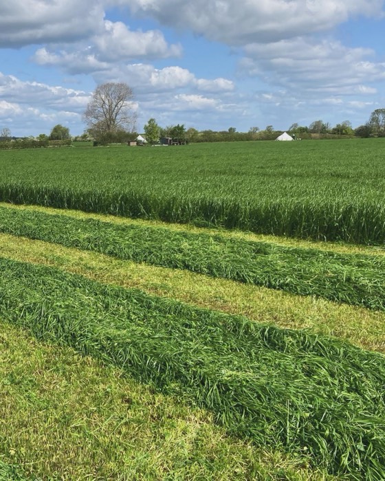AgrAssure regenerative farming photo 9