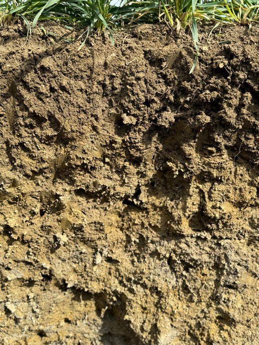AgrAssure regenerative farming photo 10