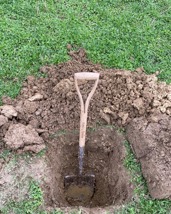 AgrAssure regenerative farming photo 11