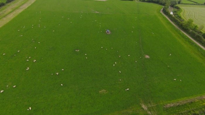 AgrAssure regenerative farming photo 17