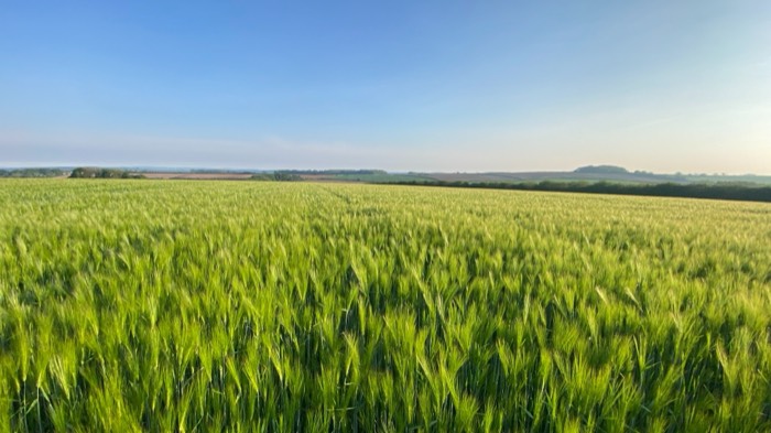 AgrAssure regenerative farming photo 21