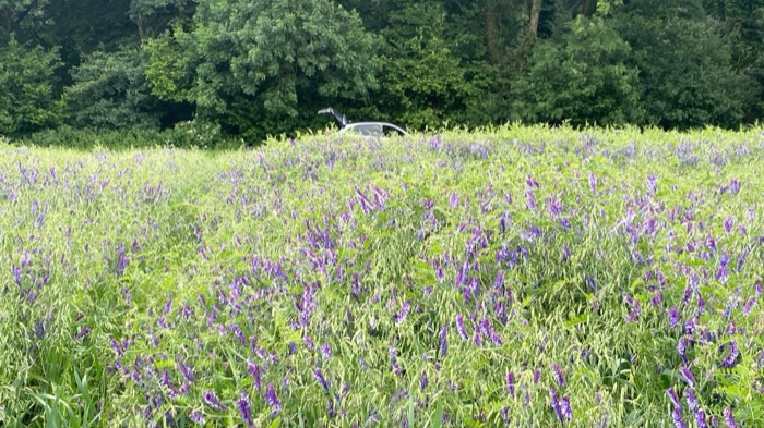 AgrAssure regenerative farming photo 23