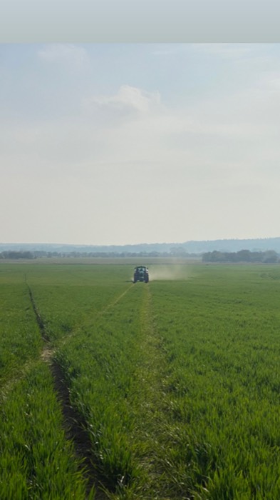 AgrAssure regenerative farming photo 28