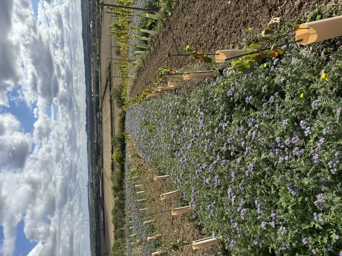 AgrAssure regenerative farming photo 39