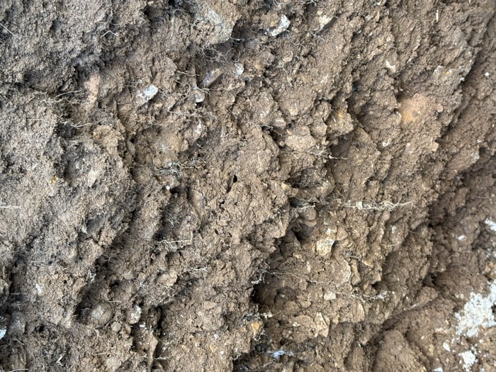 AgrAssure regenerative farming photo 42