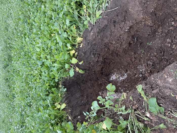 AgrAssure regenerative farming photo 43