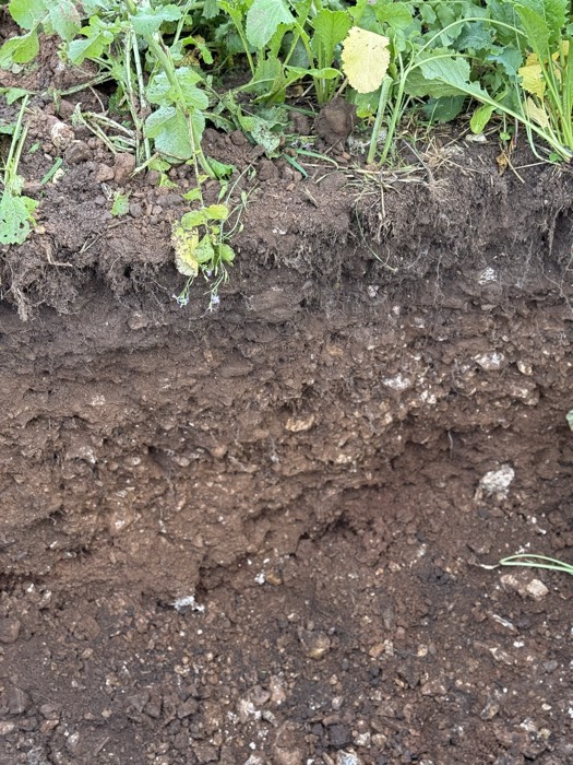AgrAssure regenerative farming photo 44