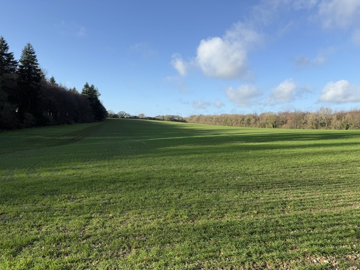 AgrAssure regenerative farming photo 48