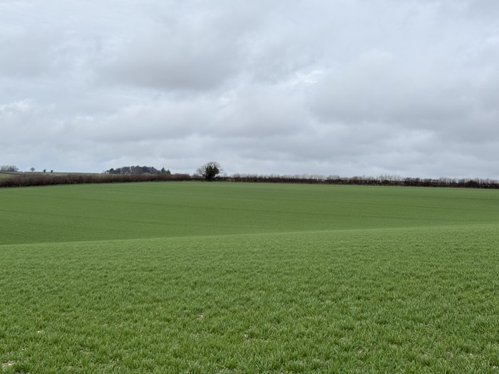 AgrAssure regenerative farming photo 50