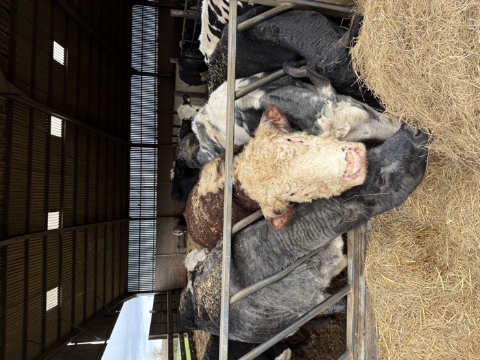 AgrAssure regenerative farming photo 51