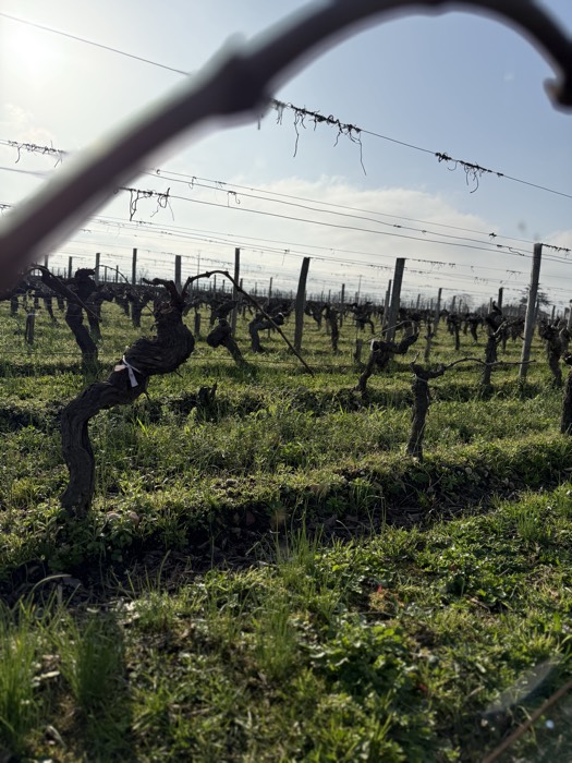AgrAssure regenerative farming photo 53