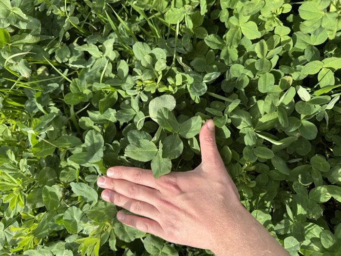 AgrAssure regenerative farming photo 54