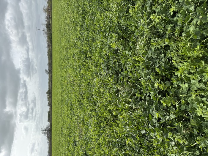 AgrAssure regenerative farming photo 55