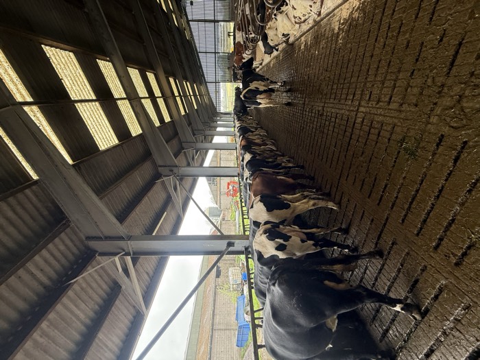 AgrAssure regenerative farming photo 56