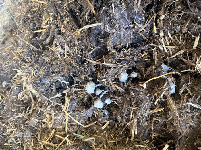 AgrAssure regenerative farming photo 57
