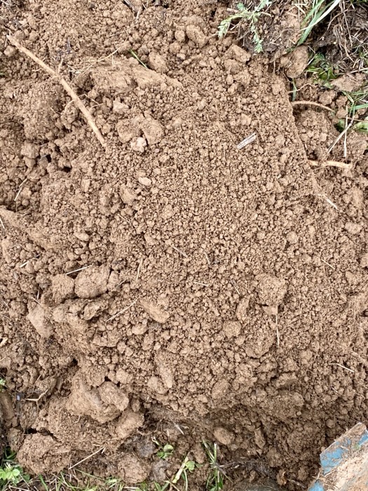 AgrAssure regenerative farming photo 60