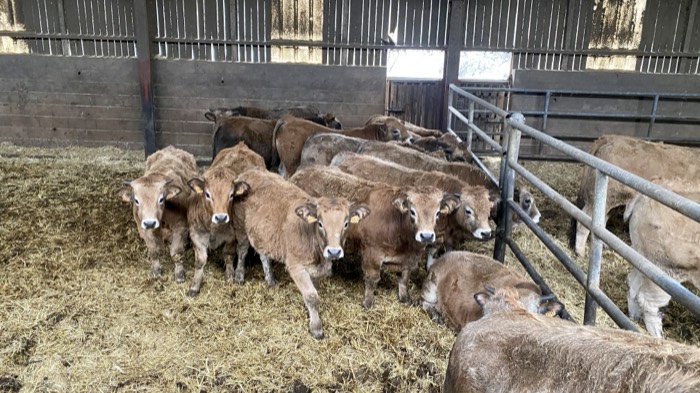 AgrAssure regenerative farming photo 61