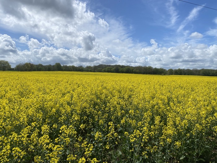 AgrAssure regenerative farming photo 62