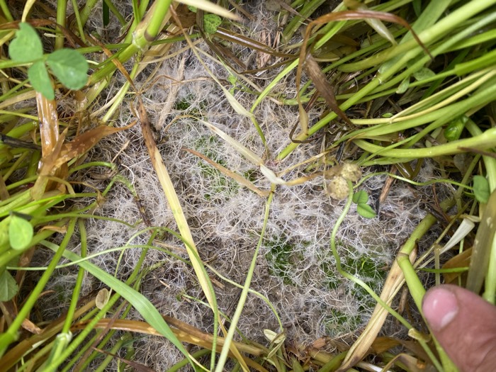 AgrAssure regenerative farming photo 63