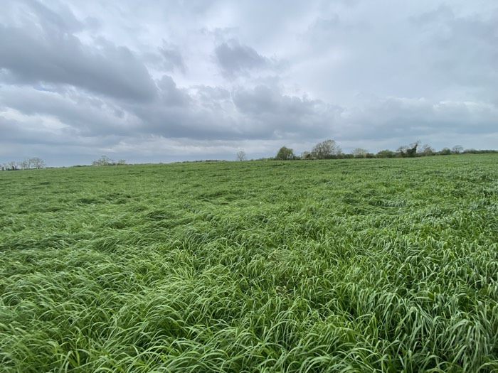 AgrAssure regenerative farming photo 64