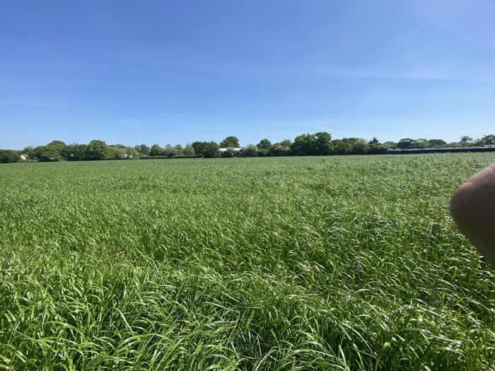 AgrAssure regenerative farming photo 65