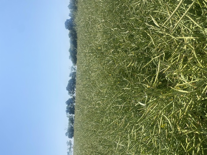 AgrAssure regenerative farming photo 66