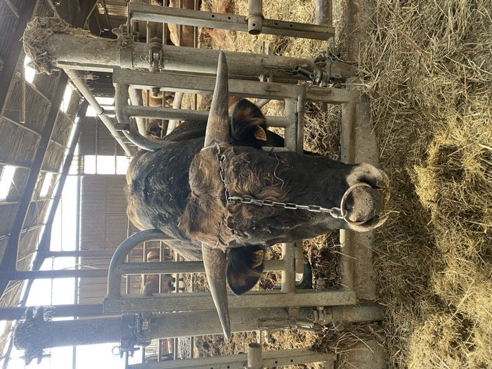 AgrAssure regenerative farming photo 72