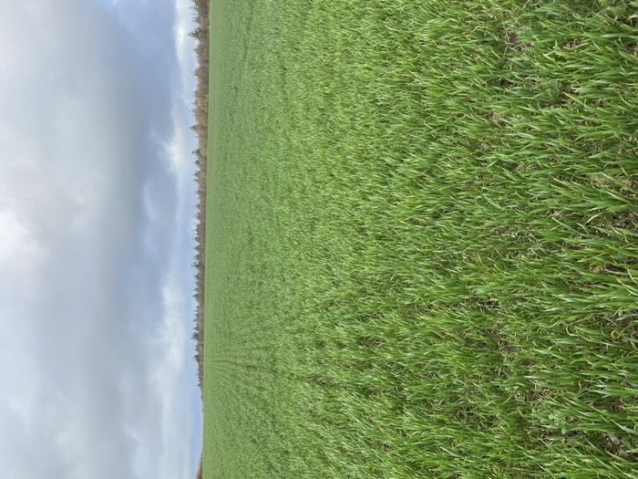 AgrAssure regenerative farming photo 73