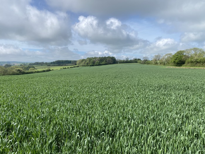 AgrAssure regenerative farming photo 76