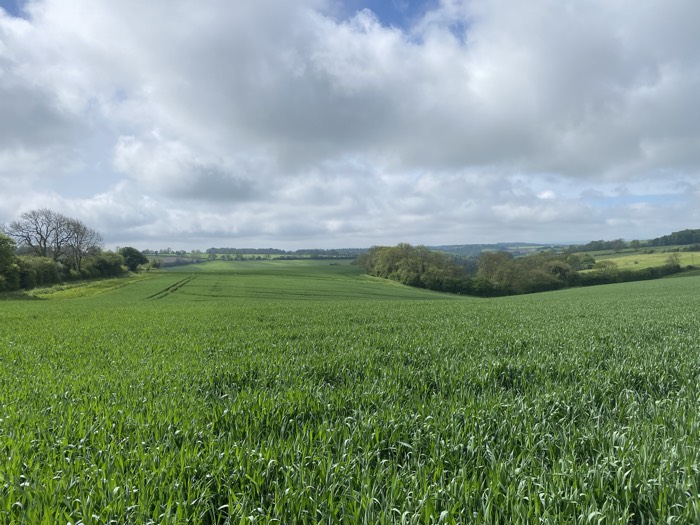 AgrAssure regenerative farming photo 77