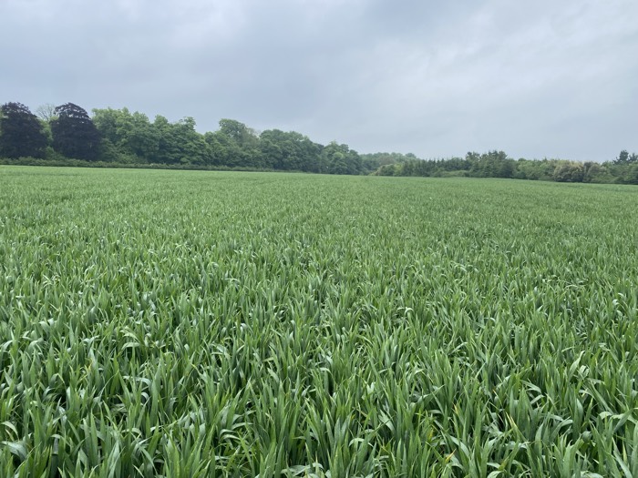 AgrAssure regenerative farming photo 78