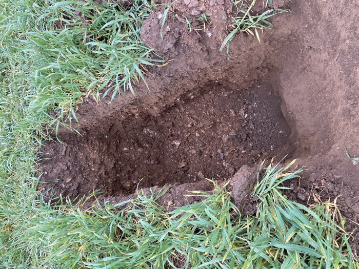 AgrAssure regenerative farming photo 81
