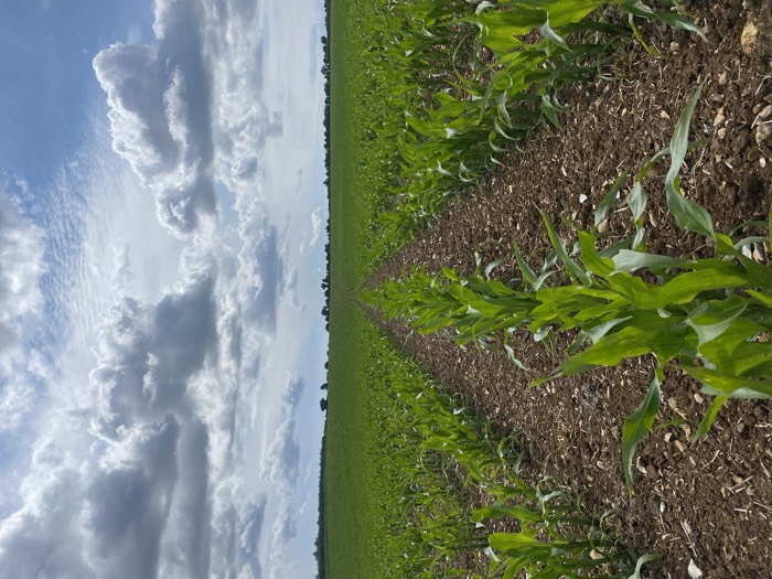 AgrAssure regenerative farming photo 84