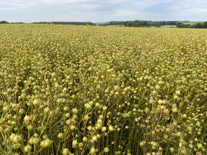 AgrAssure regenerative farming photo 86