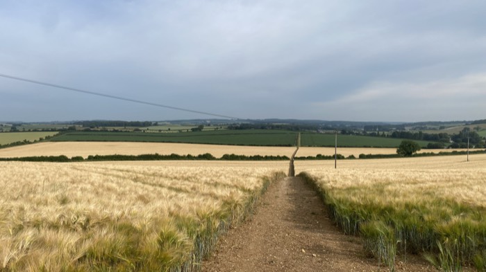 AgrAssure regenerative farming photo 87