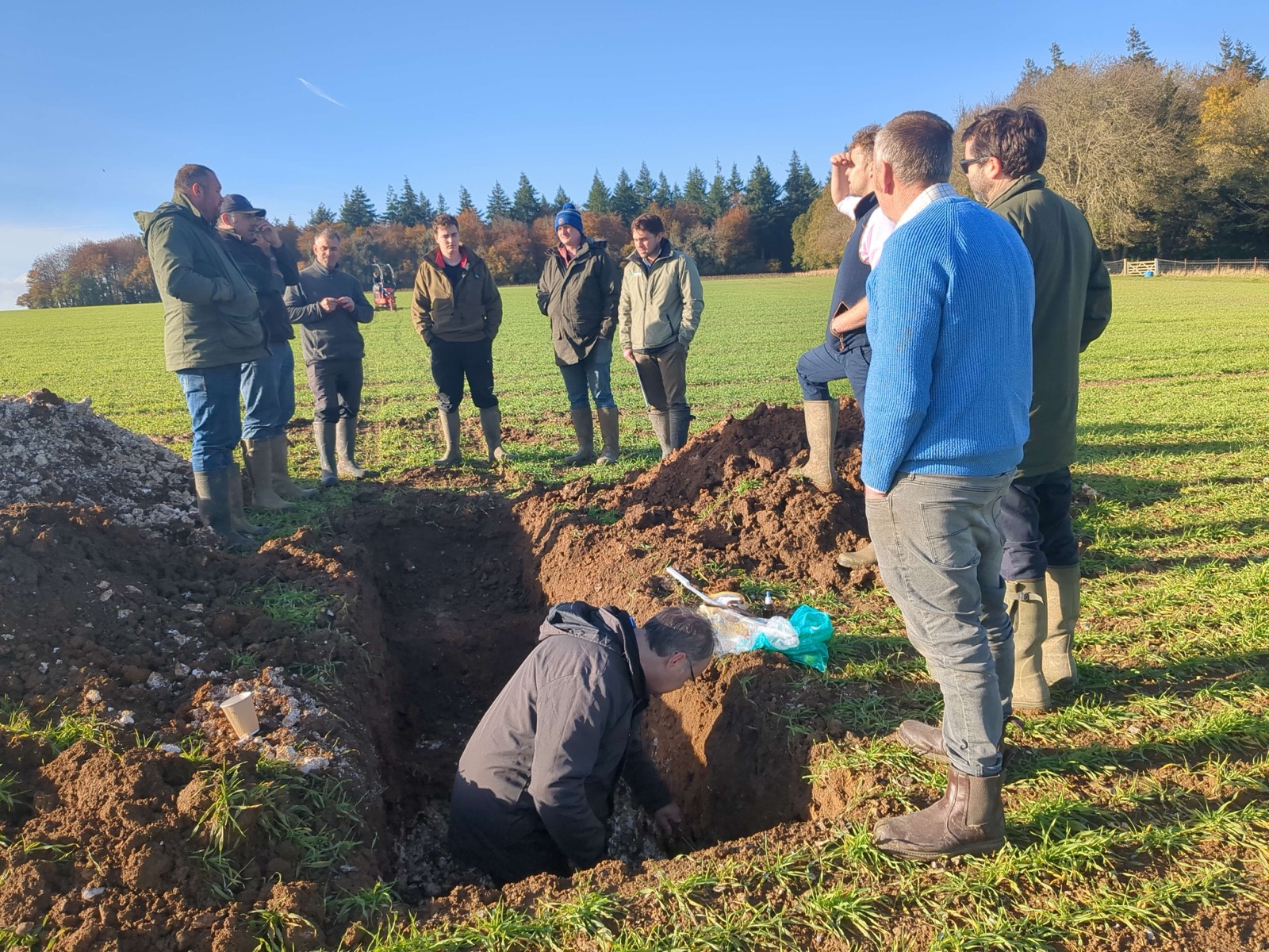 Micro-biological activity in the soil