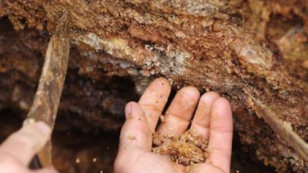 Seven-year soil study, aeration and porosity