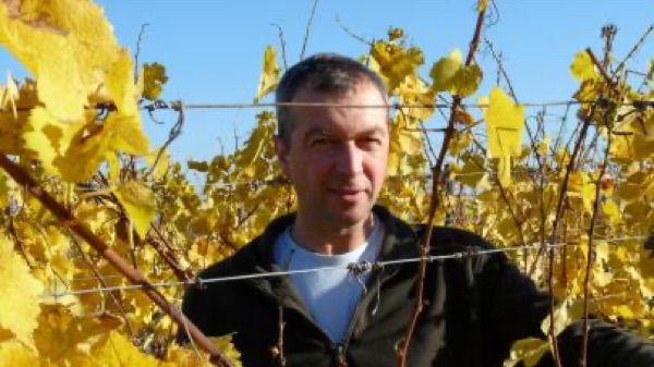Domaine Koch